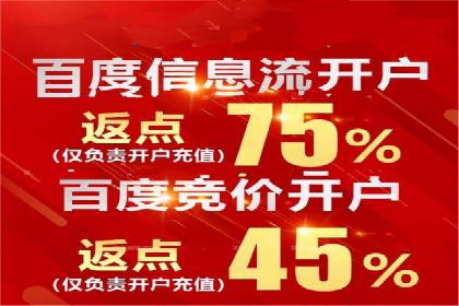 sem代运营机构成功案例：打造高效广告投放策略